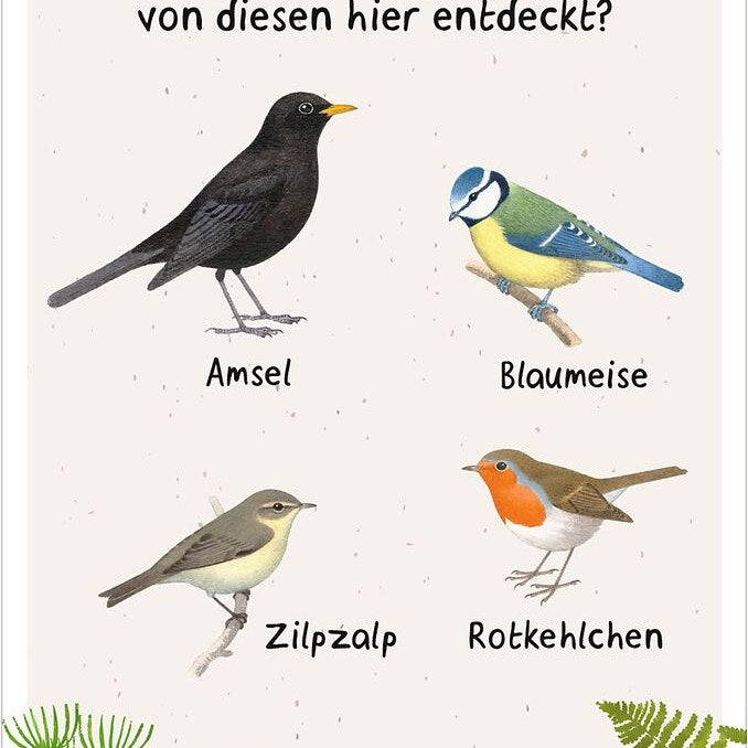 Karten aufgefächert