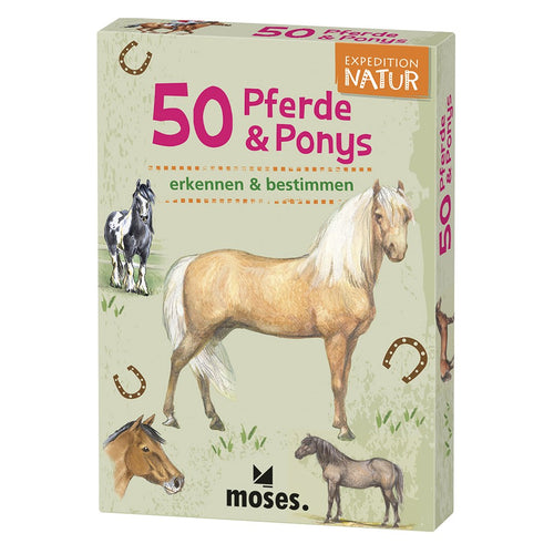 Schachtel 50 Pferde & Ponys