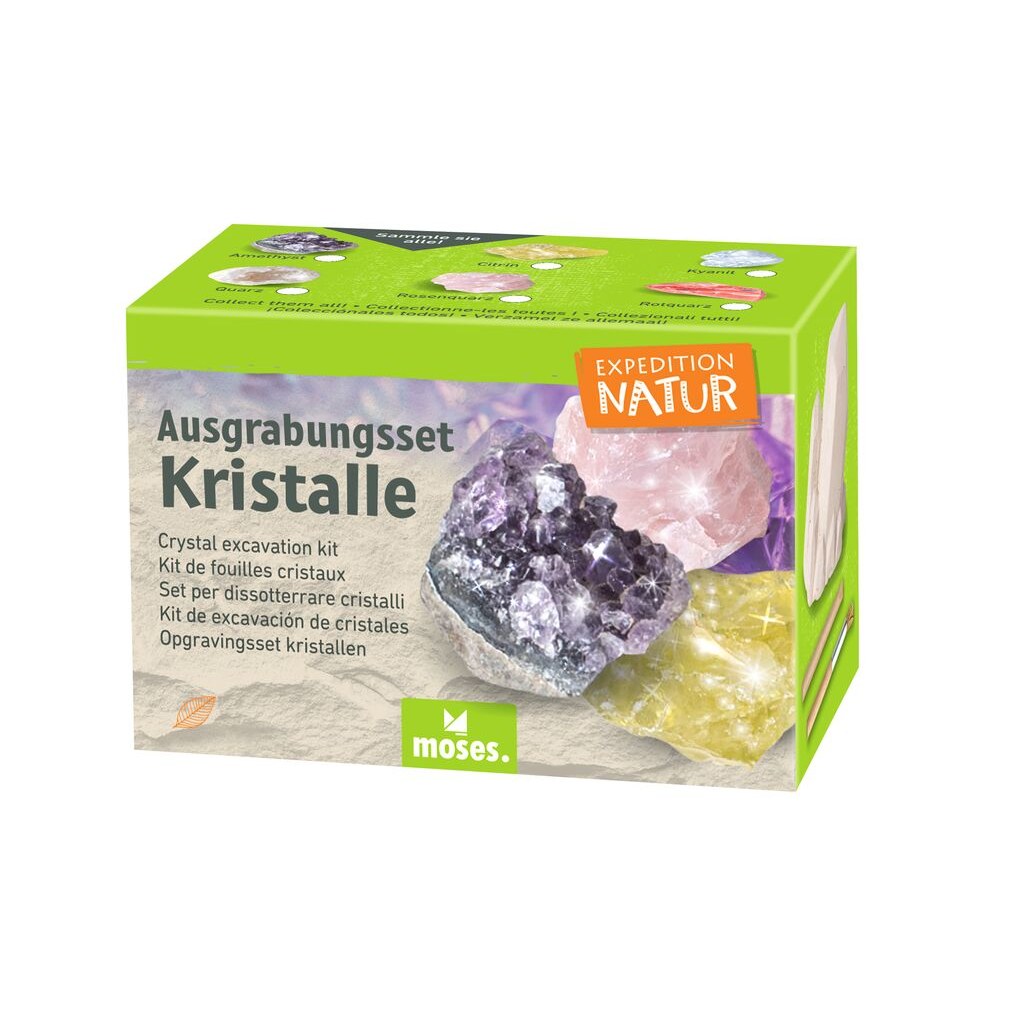 Verpackung Ausgrabungsset Kristall