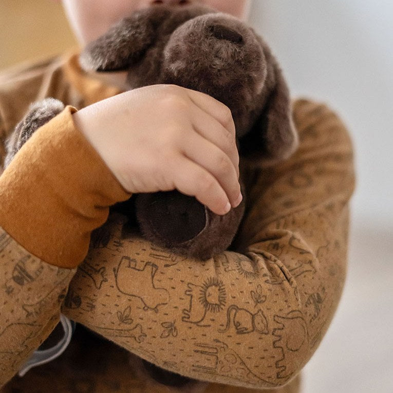 Kind drückt den braunen Plüschhund an sich