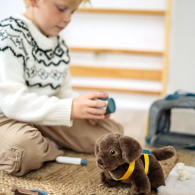 Kind pflegt den Plüschhund mit dem Zubehör