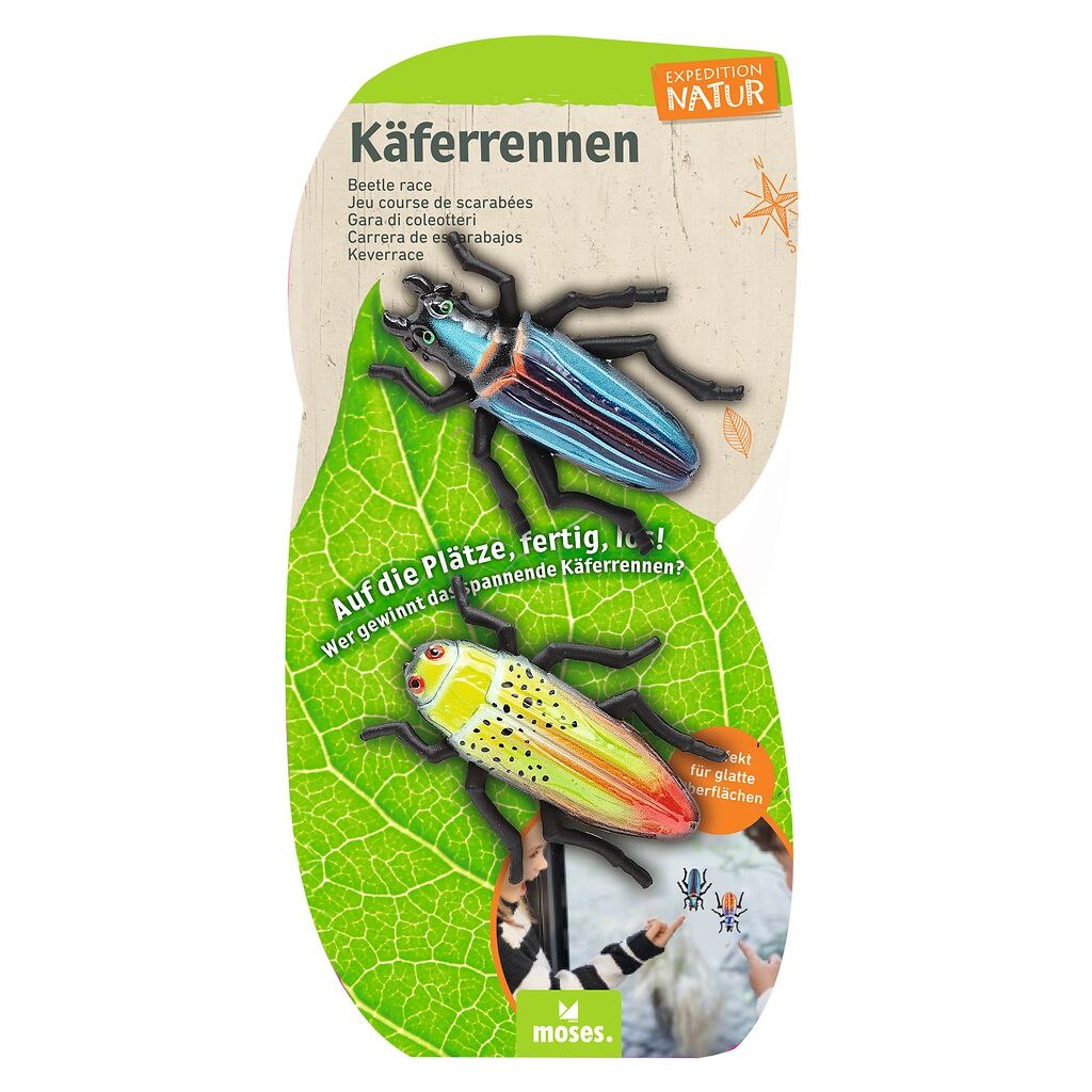 Mehrere Käfer in verschiedenen Farben