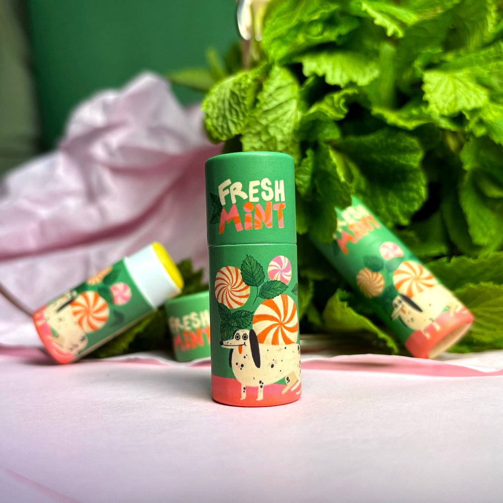 Grüne Lippenbalsam-Hülse Fresh Mint vor frischer Minze