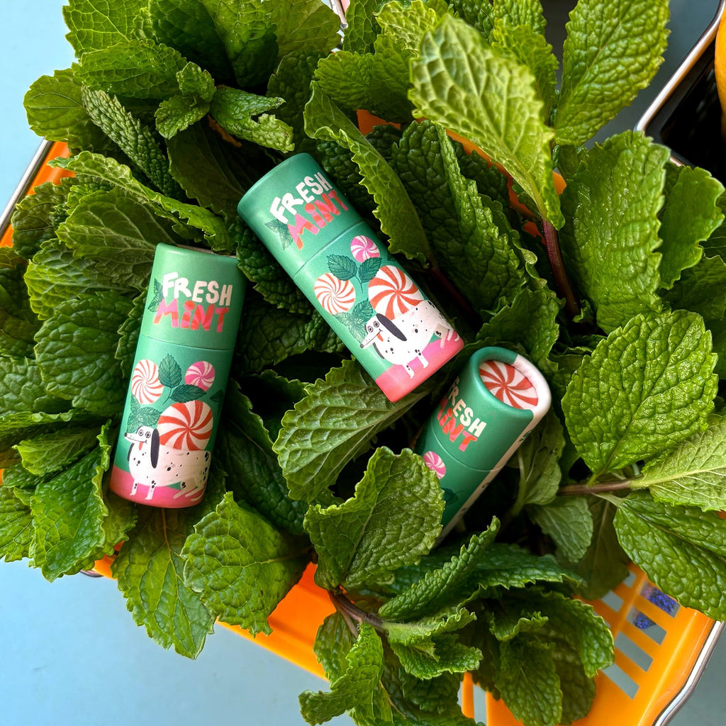 Lippenbalsam zwischen Minzblättern