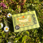 Grüne Puzzleschachtel mit Wels im Gras