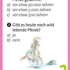 Fragekarte zur Zähmung der ersten Pferde