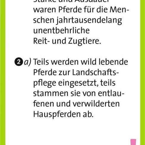 Antwortkarte mit Erklärung zu wild lebenden Pferden