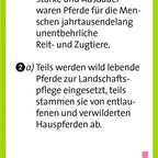Antwortkarte mit Erklärung zu wild lebenden Pferden