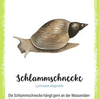Blechdose mit Quartett Waldtiere