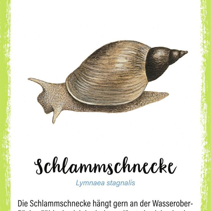 Blechdose mit Quartett Waldtiere