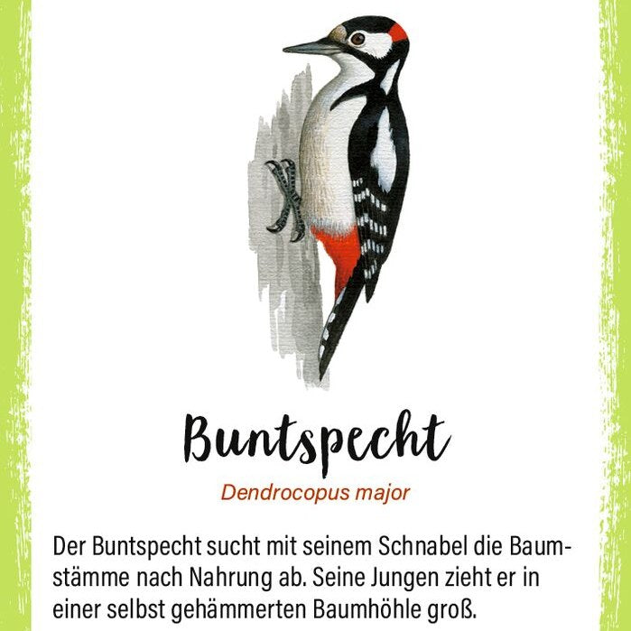 Kartenspiel in der Hand